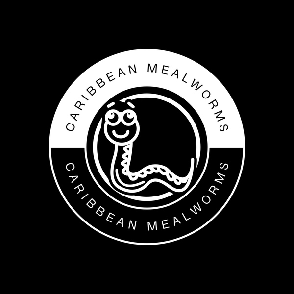 Caribbean Mealworms